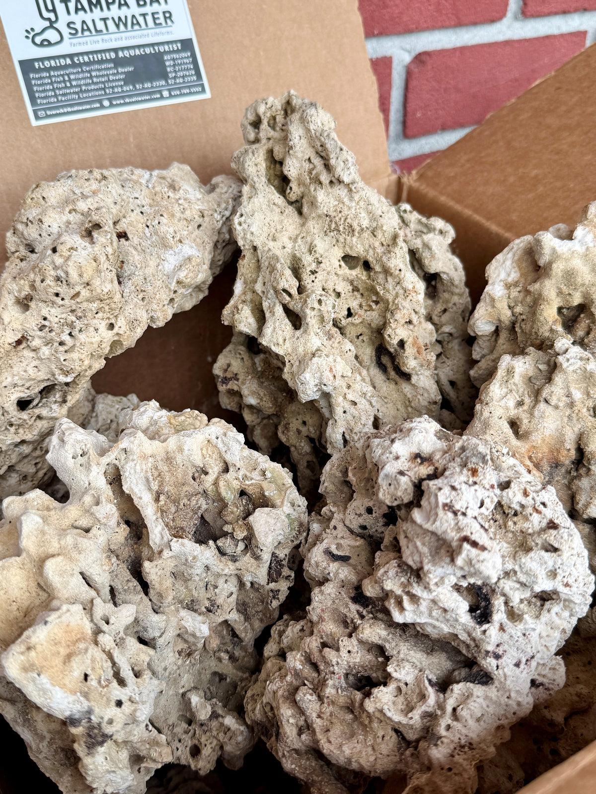 Genuine Pukani -30lbs Large MIX