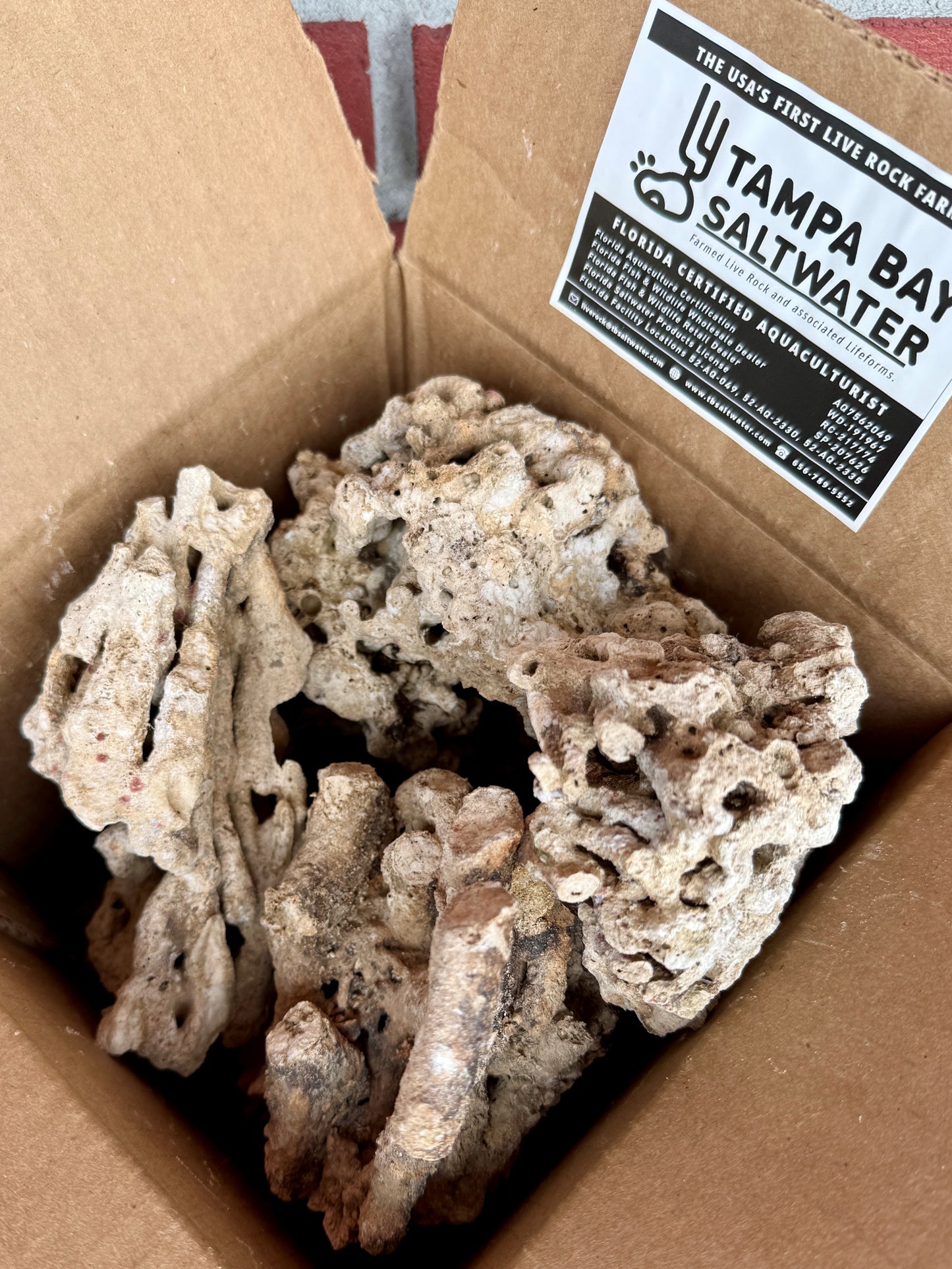 Genuine Pukani -5lbs Small Sizes