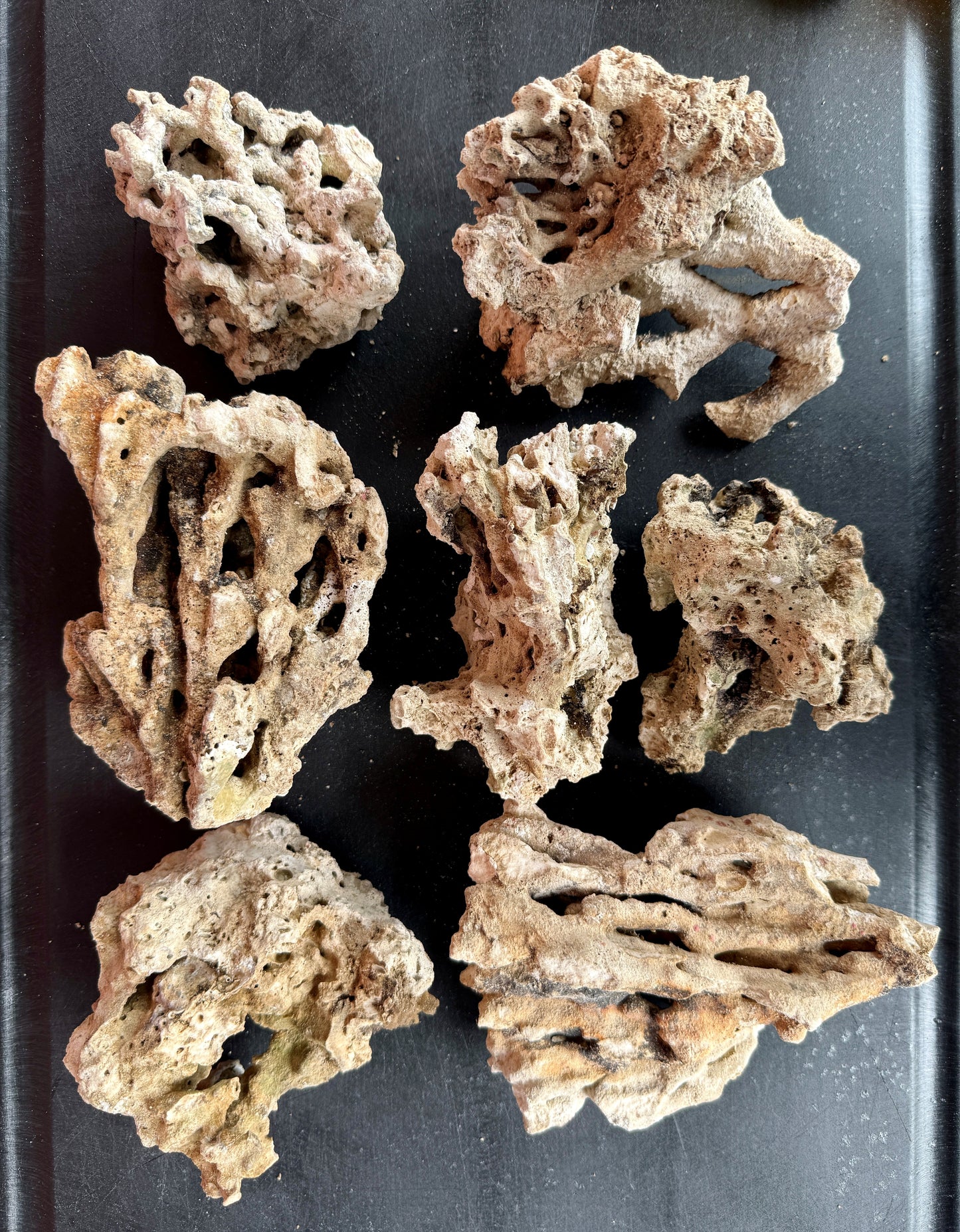 Genuine Pukani -5lbs Small Sizes