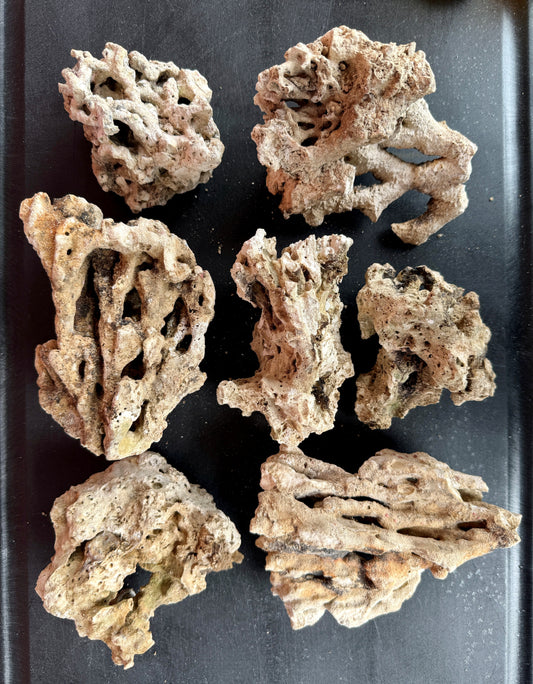 Genuine Pukani -5lbs Small Sizes