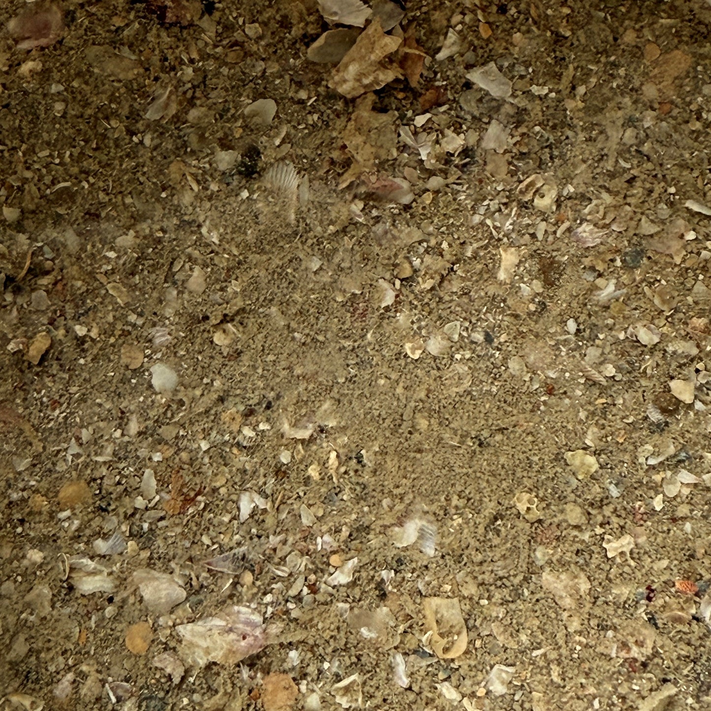 Sludge Solution - 100% Natural Silt