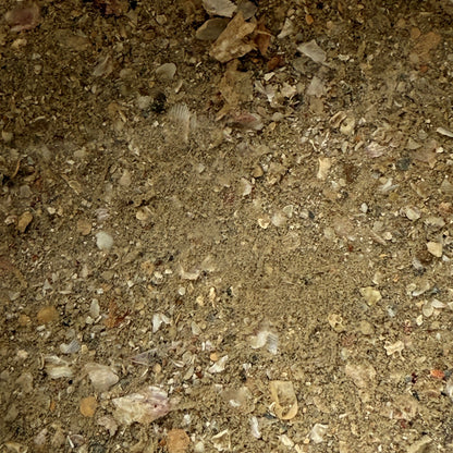 Sludge Solution - 100% Natural Silt